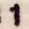 Num�ro 1 type d