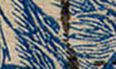 Zoom Case 6